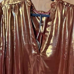 Anthropologie bronze high low top